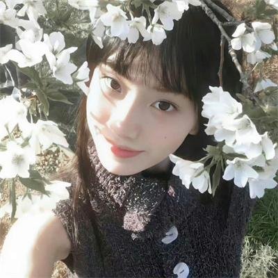 蔷薇处处香