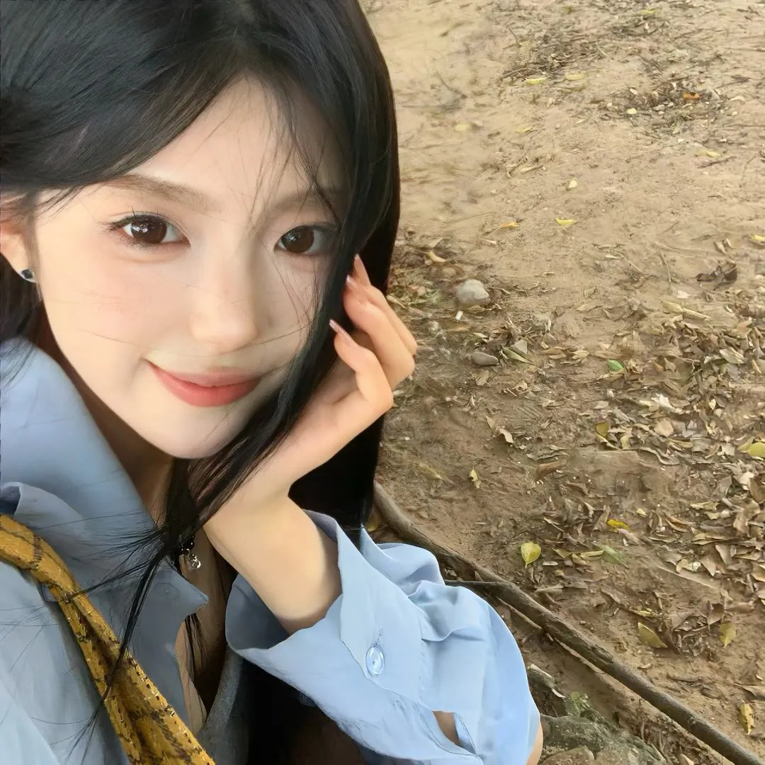 彩凤朝阳